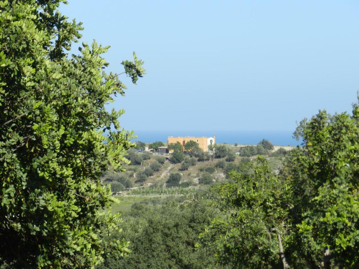 Villa Zammarra Casa Maccari Dış mekan fotoğraf